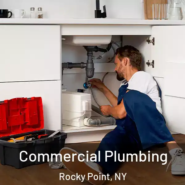  Commercial Plumbing Rocky Point, NY